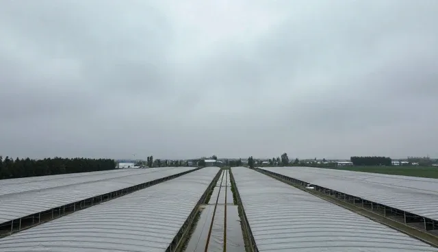 系统集成选型中的关键考量要素解析